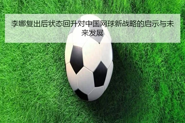 li-na-fu-chu-hou-zhuang-tai-hui-sheng-dui-zhong-guo-wang-qiu-xin-zhan-lve-de-qi-shi-yu-wei-lai-fa-zhan-2-319.jpg