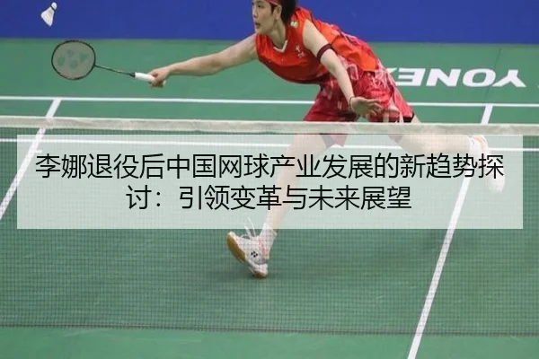 li-na-tui-yi-hou-zhong-guo-wang-qiu-chan-ye-fa-zhan-de-xin-qu-shi-tan-tao-yin-ling-bian-ge-yu-wei-lai-zhan-wang-2-161.jpg