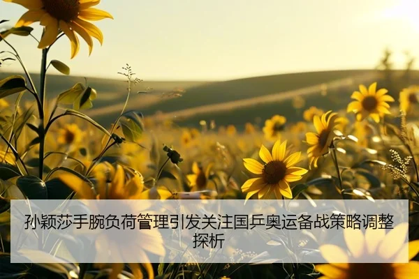 孙颖莎手腕负荷管理引发关注国乒奥运备战策略调整探析