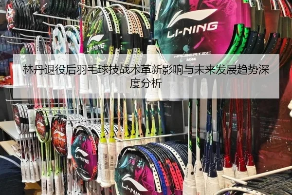 林丹退役后羽毛球技战术革新影响与未来发展趋势深度分析